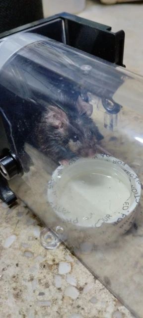 Obrazek #1 z Arkadiusz