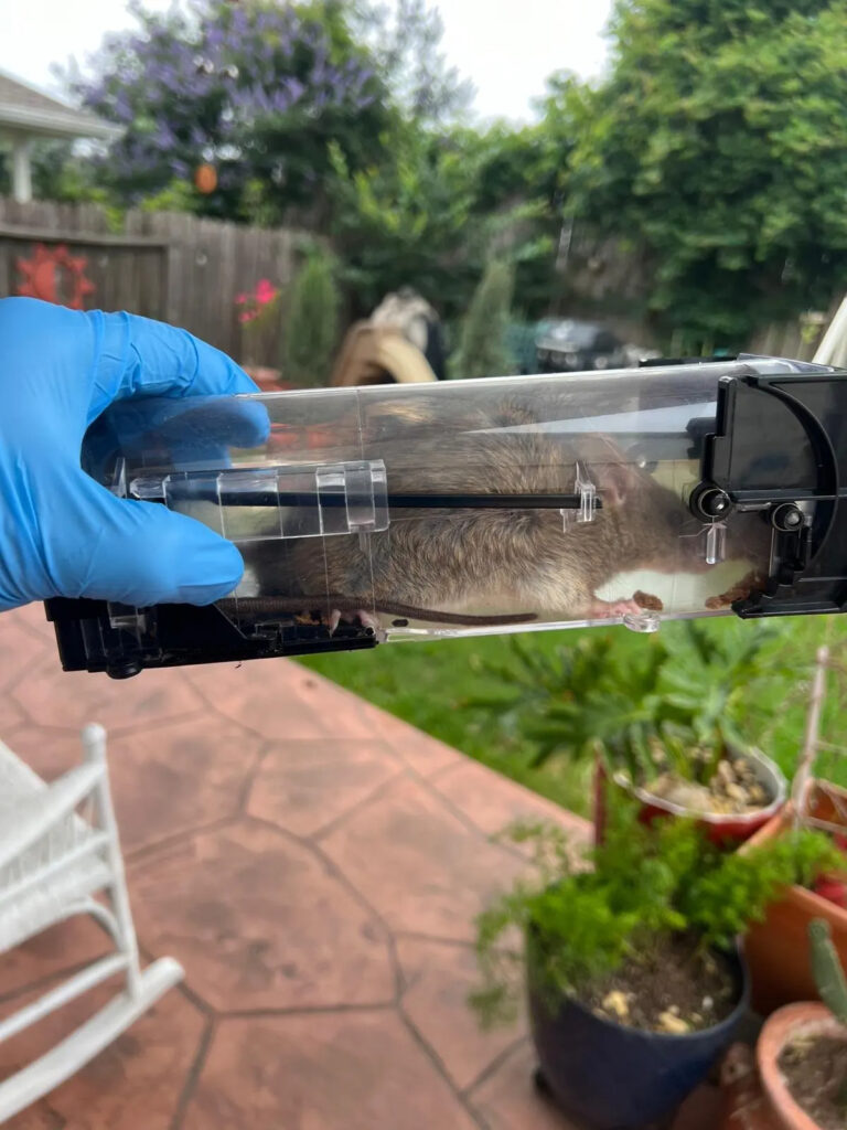 Obrazek #1 z Dariusz